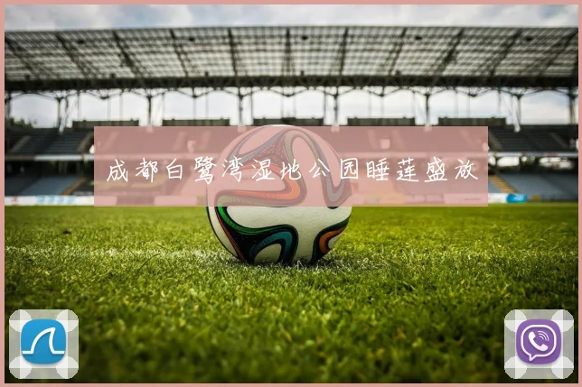 成都白鹭湾湿地公园睡莲盛放