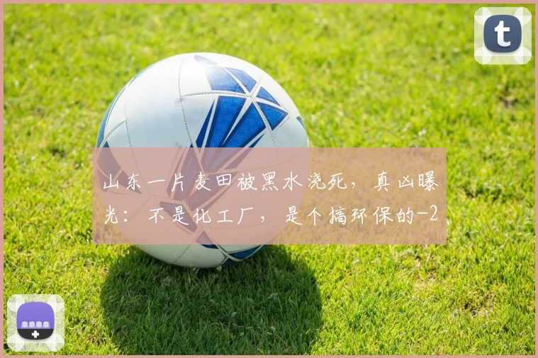 山东一片麦田被黑水浇死，真凶曝光：不是化工厂，是个搞环保的