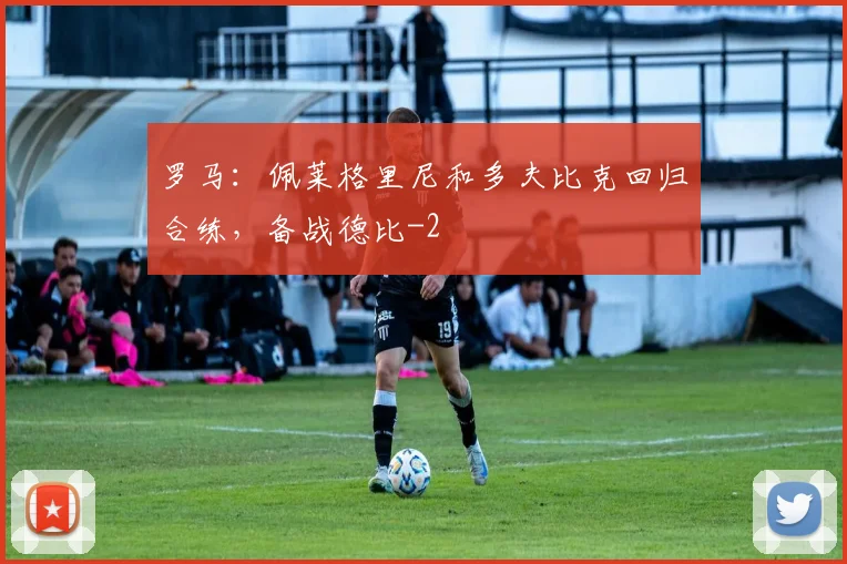 罗马：佩莱格里尼和多夫比克回归合练，备战德比