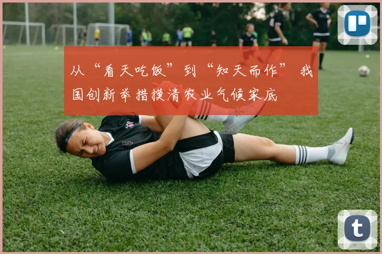 从“看天吃饭”到“知天而作” 我国创新举措摸清农业气候家底