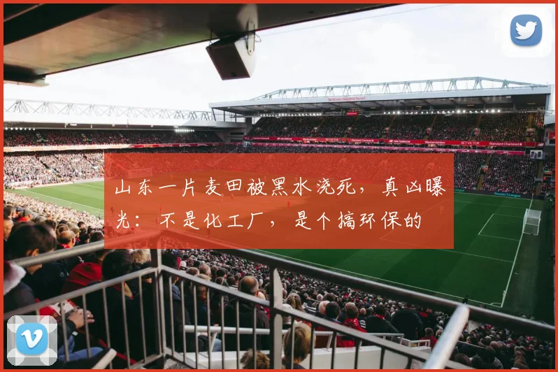 山东一片麦田被黑水浇死，真凶曝光：不是化工厂，是个搞环保的